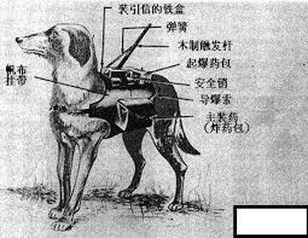 衡阳哪里能看欧洲杯直播:衡阳哪里能看欧洲杯直播的