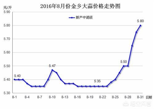 莱芜哪里可以看欧洲杯直播:莱芜哪里可以看欧洲杯直播的