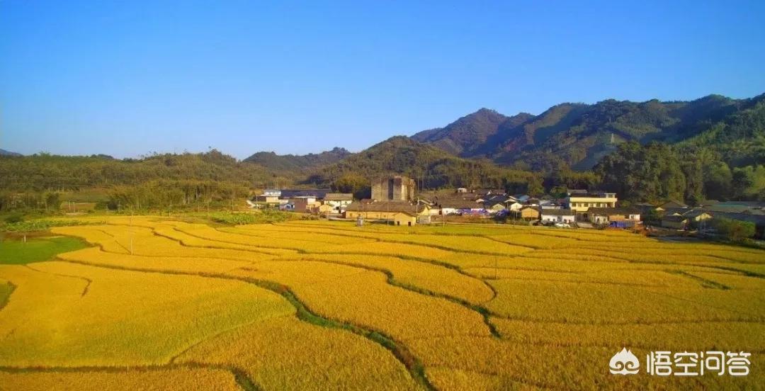 惠州欧洲杯直播平台有哪些:惠州欧洲杯直播平台有哪些公司