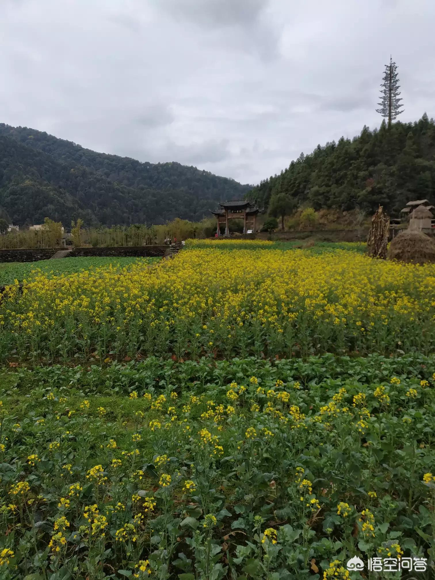 襄樊哪里可以看欧洲杯直播:襄樊哪里可以看欧洲杯直播的