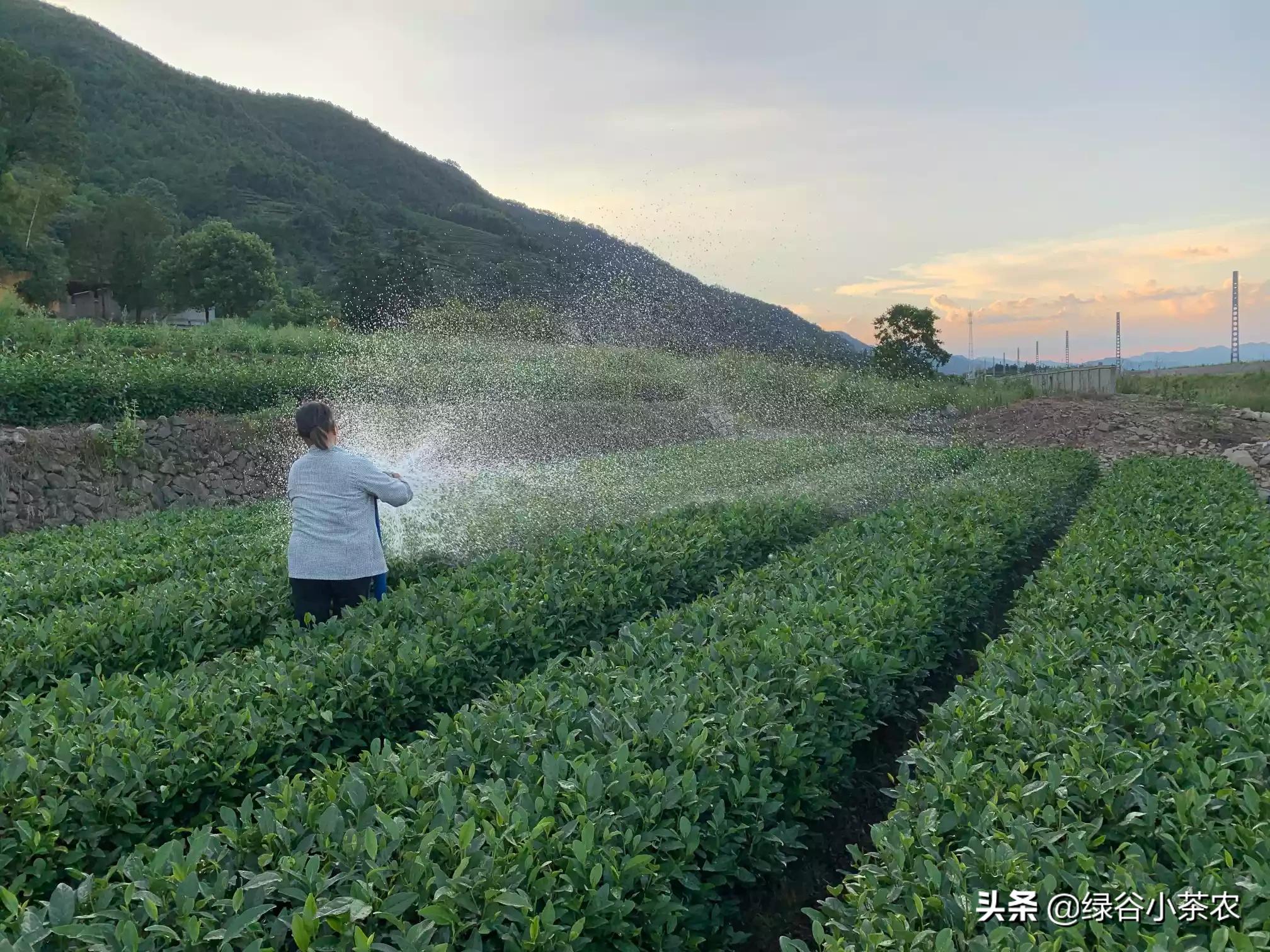 福鼎哪里可以看欧洲杯直播:福鼎哪里可以看欧洲杯直播的