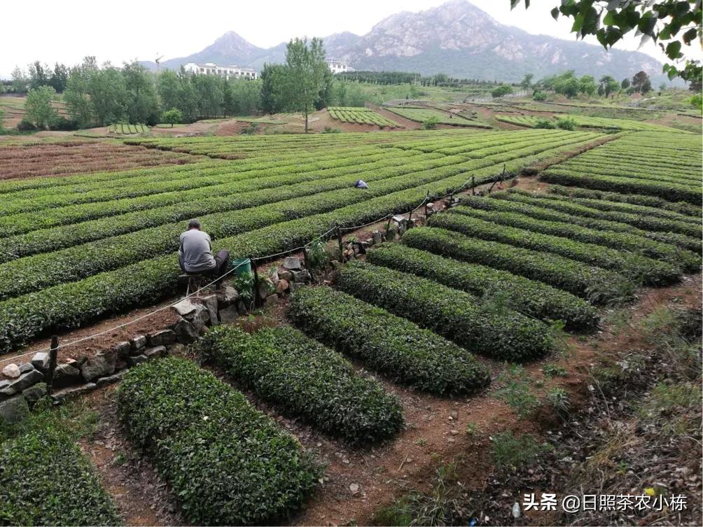 福鼎哪里可以看欧洲杯直播:福鼎哪里可以看欧洲杯直播的