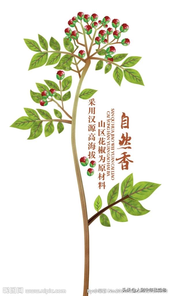 花椒直播可以看欧洲杯吗:花椒直播可以看欧洲杯吗