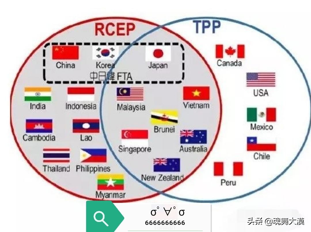 岛内哪里可以看欧洲杯直播:岛内哪里可以看欧洲杯直播的