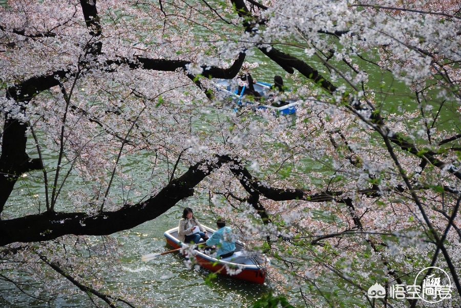 眉山哪里可以看欧洲杯直播:眉山哪里可以看欧洲杯直播的