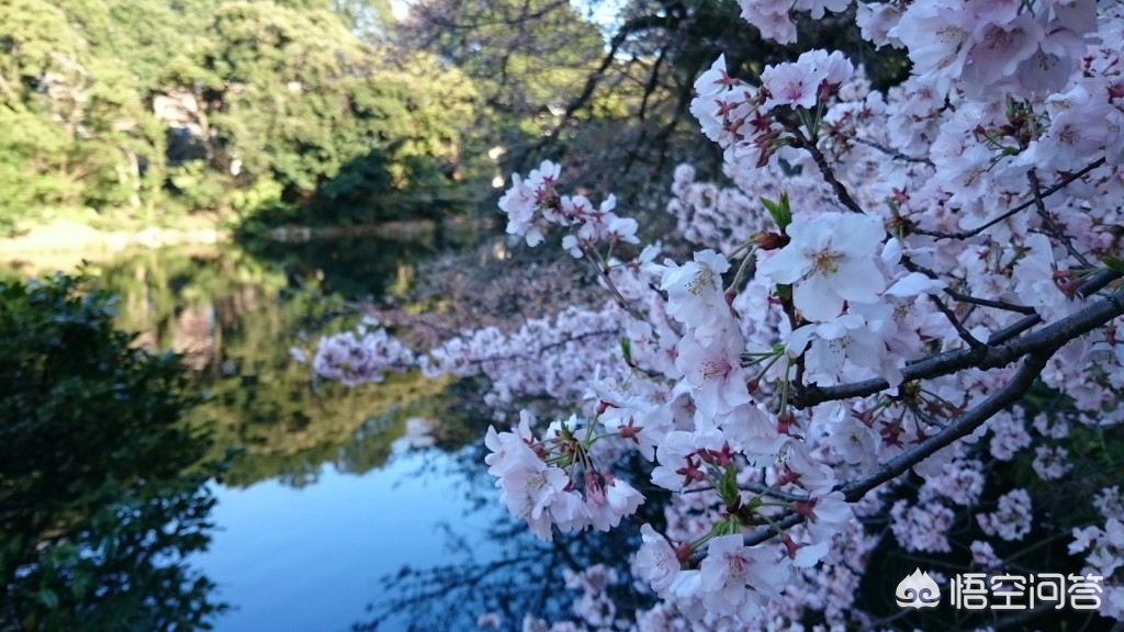 眉山哪里可以看欧洲杯直播:眉山哪里可以看欧洲杯直播的