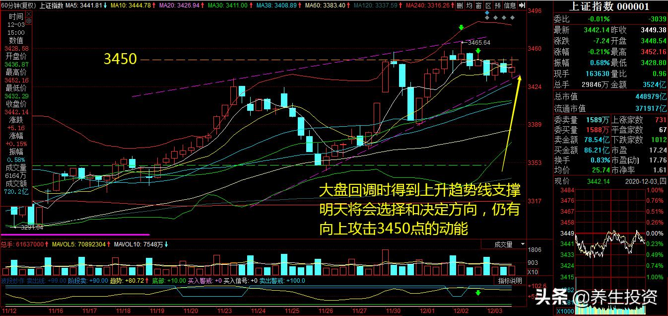 新郑观看欧洲杯直播在哪看:新郑观看欧洲杯直播在哪看回放