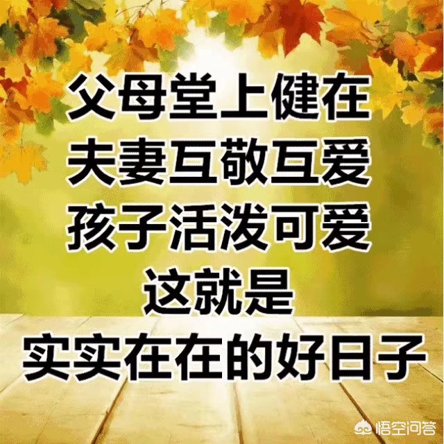 老王欧洲杯直播视频在线观看:老王欧洲杯直播视频在线观看免费