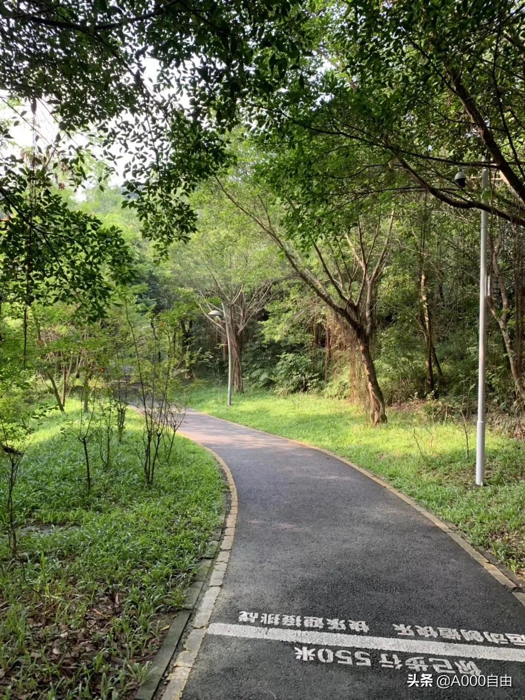 深圳欧洲杯决赛去哪看直播:深圳欧洲杯决赛去哪看直播啊