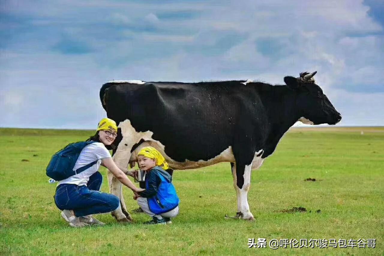 中年人怎么看欧洲杯直播视频:中年人怎么看欧洲杯直播视频呢