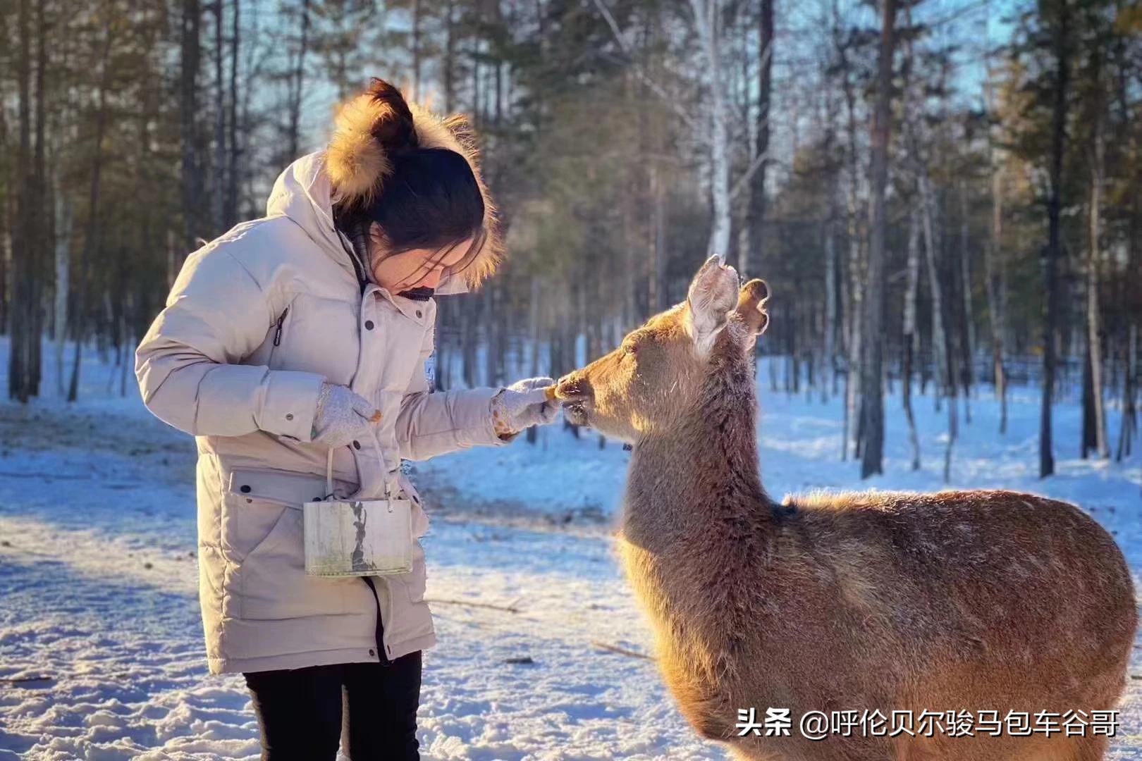 中年人怎么看欧洲杯直播视频:中年人怎么看欧洲杯直播视频呢