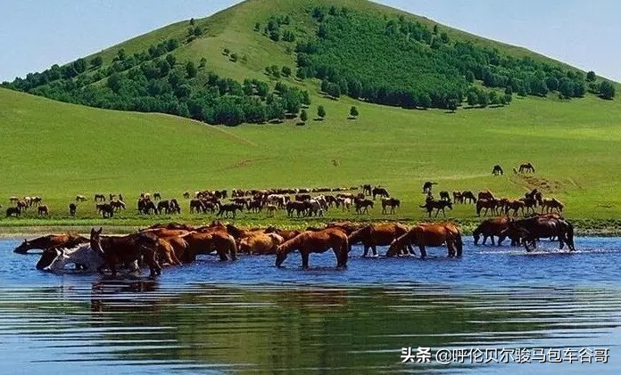 中年人怎么看欧洲杯直播视频:中年人怎么看欧洲杯直播视频呢